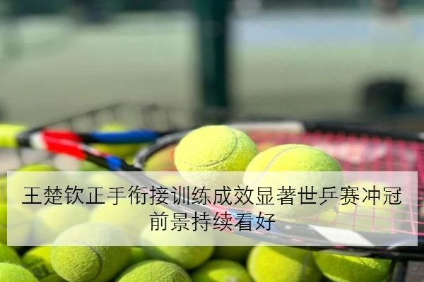 王楚钦正手衔接训练成效显著世乒赛冲冠前景持续看好